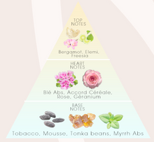 Load image into Gallery viewer, EVENING SIGNATURE