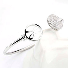 Load image into Gallery viewer, Silver bezel with 2 rounds on front with hayari logo