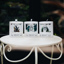 Load image into Gallery viewer, hayari paris scented candle collection