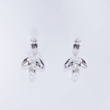 Load image into Gallery viewer, Drop Earring