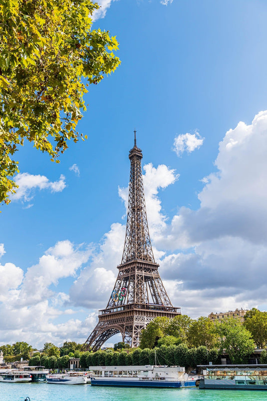 The chic parisian reinvention of woody women’s fragrances