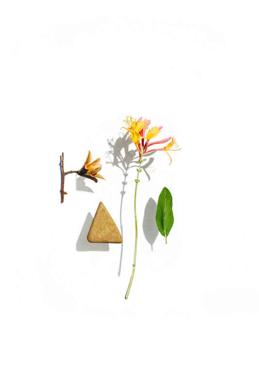 The concept of olfactory pyramid on your skin with its top, heart, and base notes