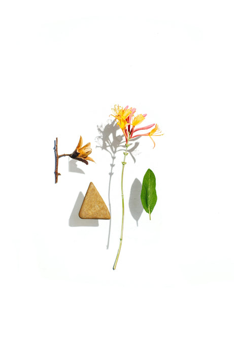 The concept of olfactory pyramid on your skin with its top, heart, and base notes