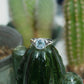 Silver Ring with Aqua Marine Stone