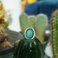 Sterling Silver Ring with Malachite Stone