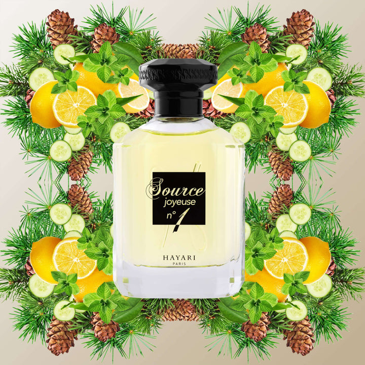 Source Joyeuse N°1