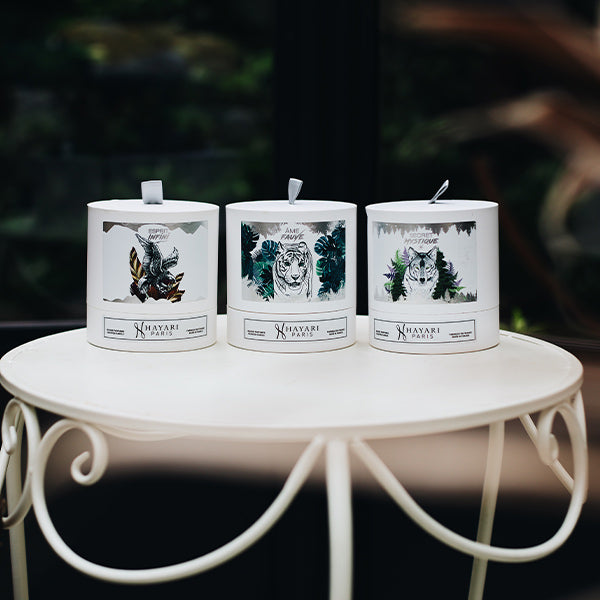 hayari paris scented candle collection